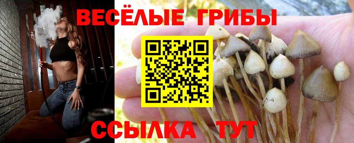 Псилоцибиновые грибы Cubensis  Псилоцибиновые грибы Cubensis  Вход с VPN  Златоуст 